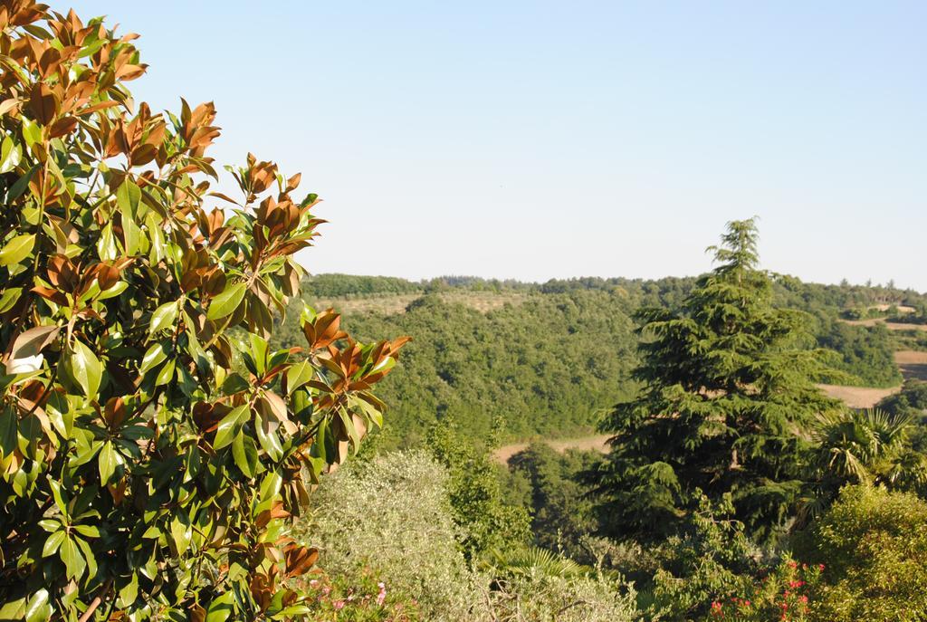 Il Gelsomino Del Perugino Βίλα Città della Pieve Εξωτερικό φωτογραφία